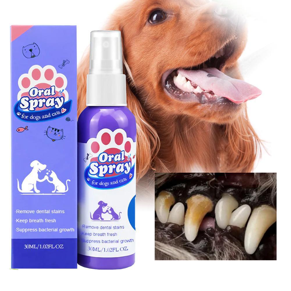 Spray bucal para mascotas, spr - Teeth Whitening Mouthwash reseña y precio