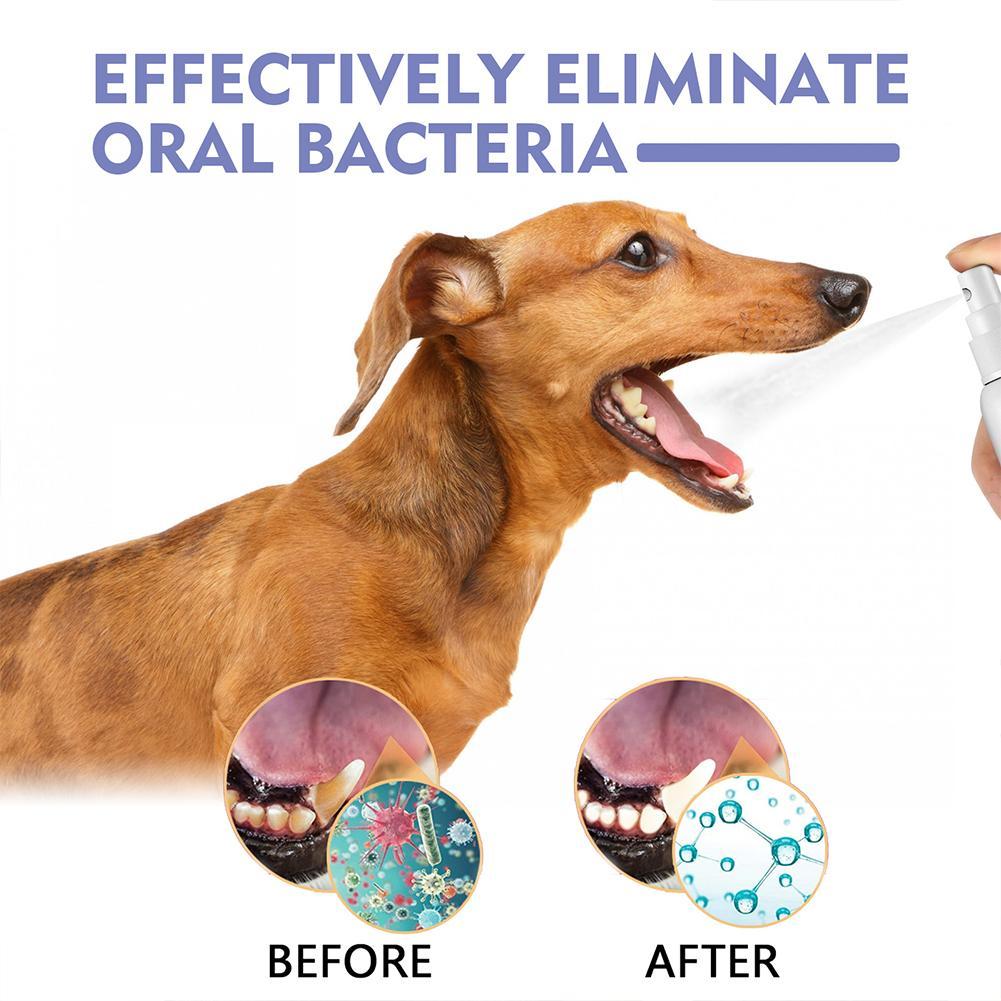 Spray bucal para mascotas, spr - Teeth Whitening Mouthwash reseña y precio